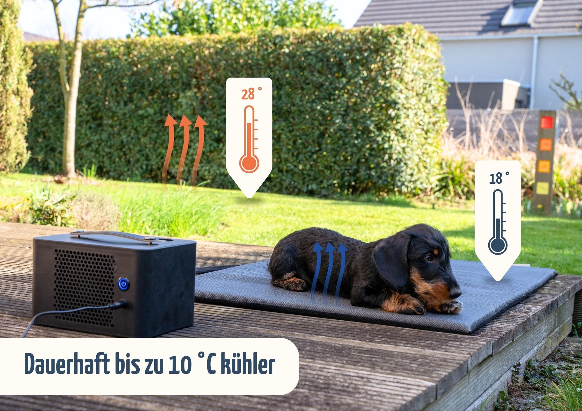coolnis cooling mat “Limited Edition”