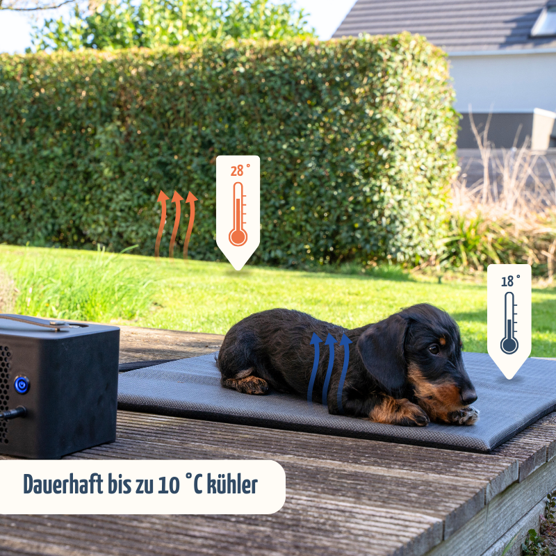coolnis cooling mat “Limited Edition”