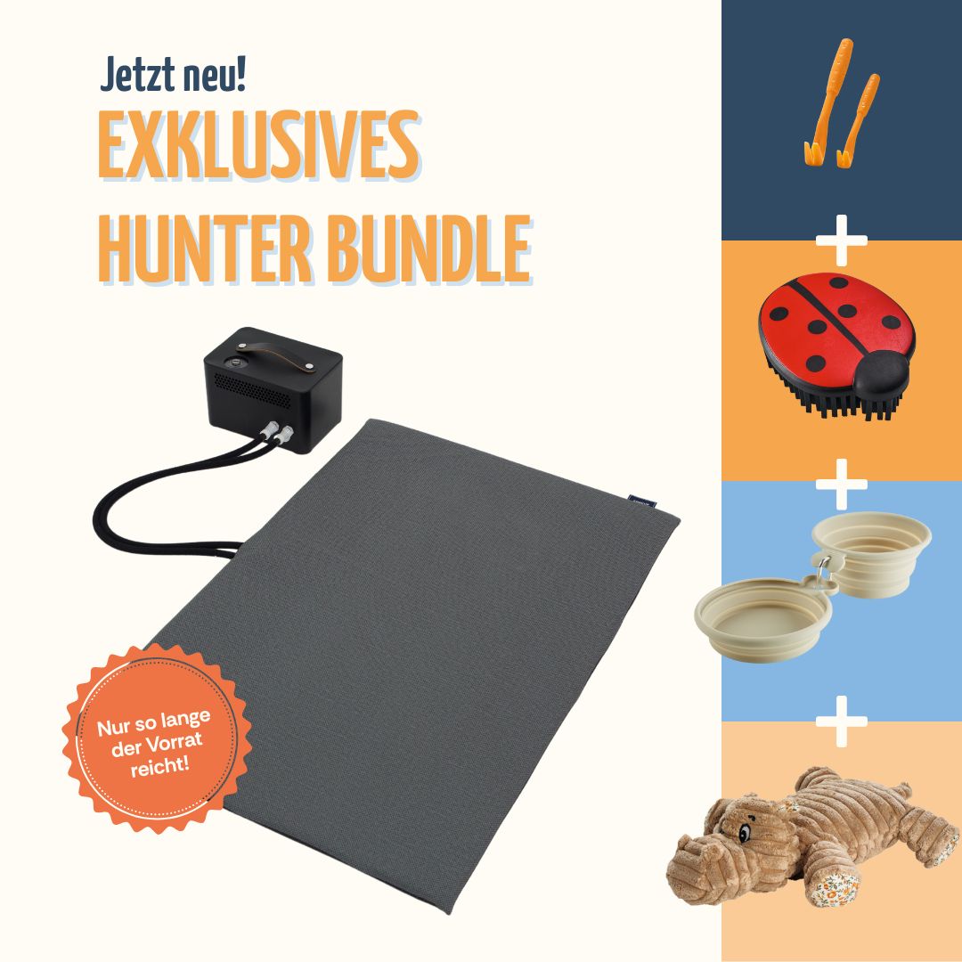 coolnis Summer Deal
