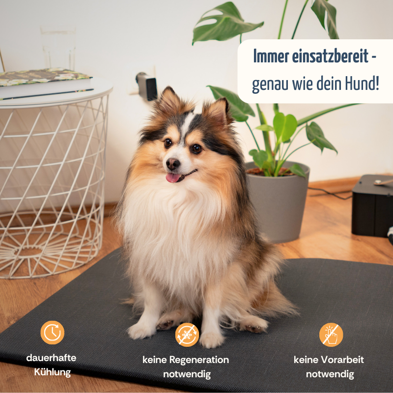 coolnis Kühlmatte Lambert