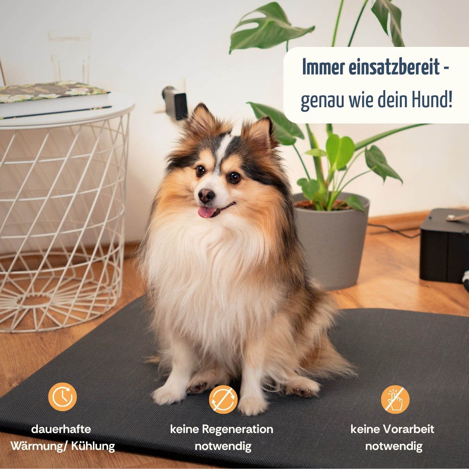 Temperierbare Hundematte All Season