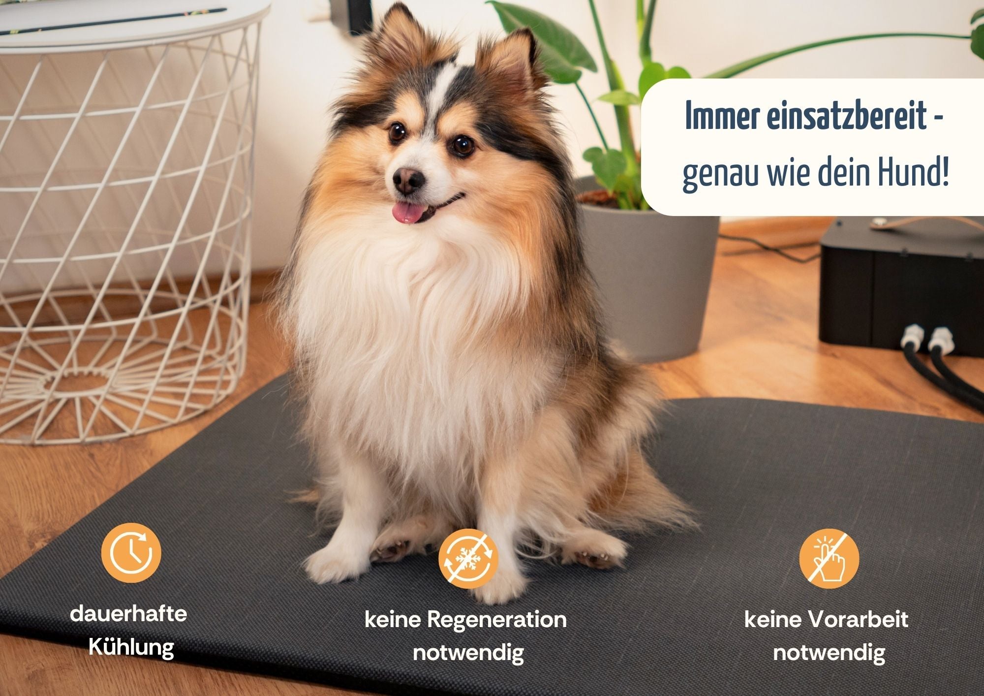 coolnis cooling mat “Limited Edition”