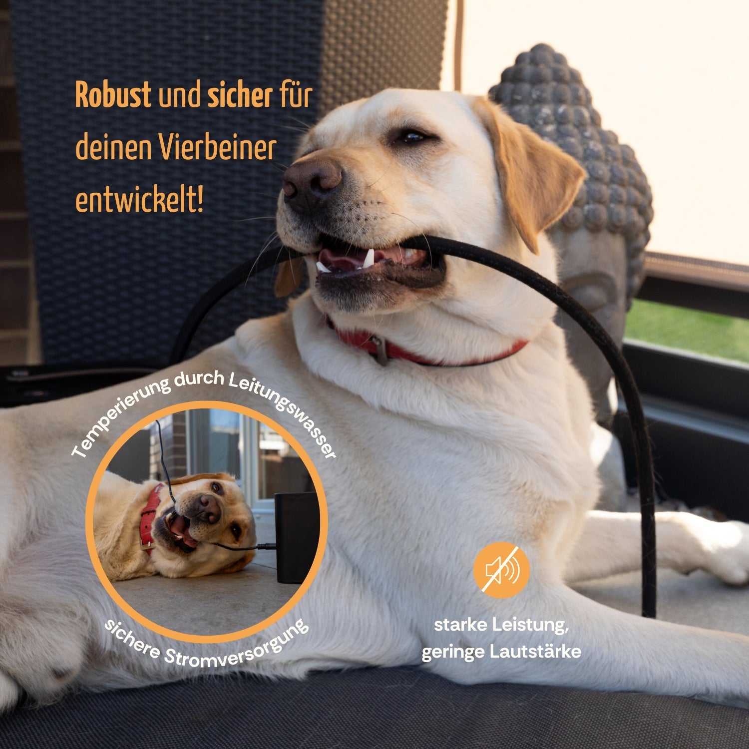 Temperierbare Hundematte All Season