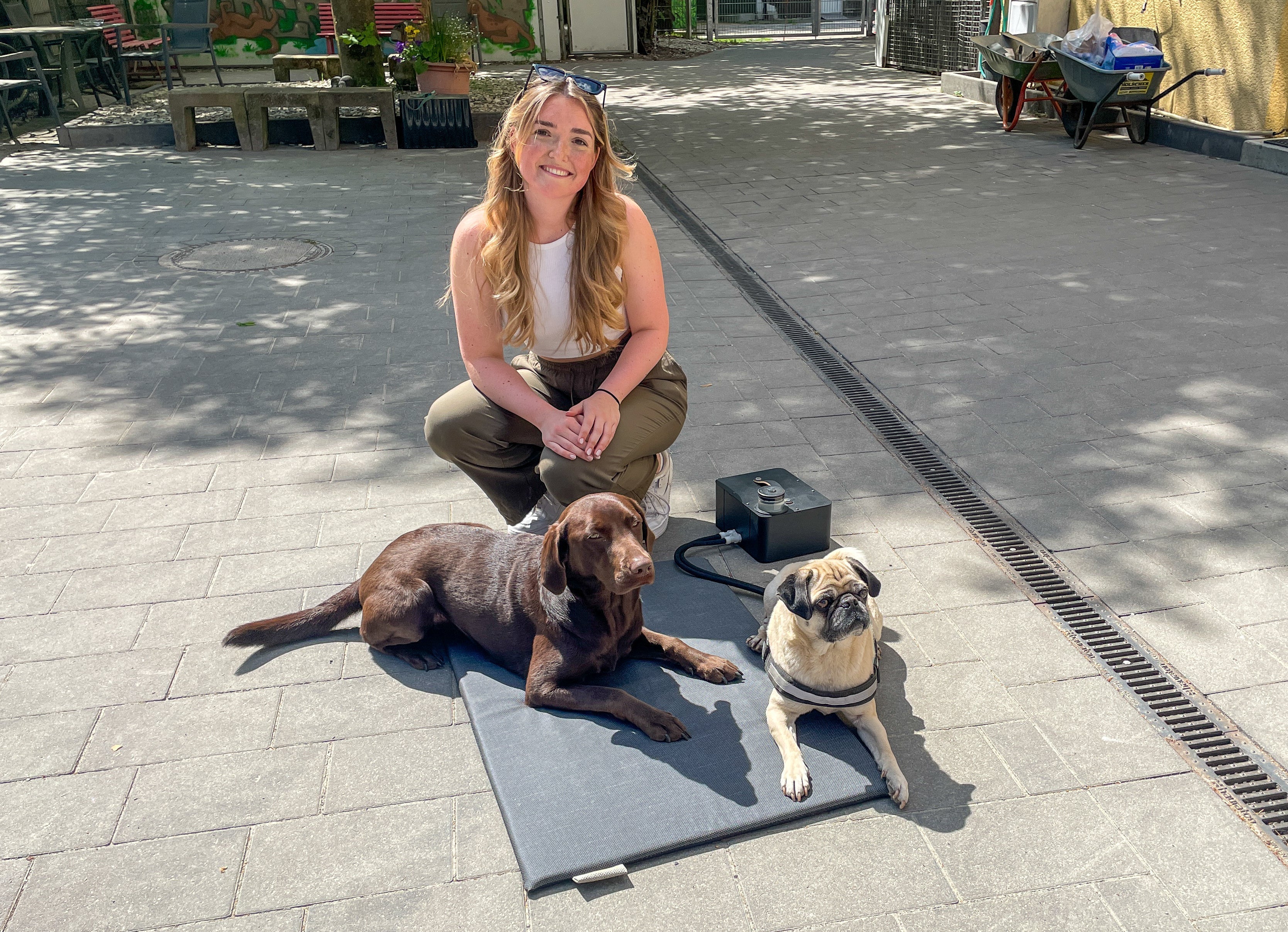 Eine Kühlmatte fürs Tierheim Paderborn – weil jeder Hund es verdient