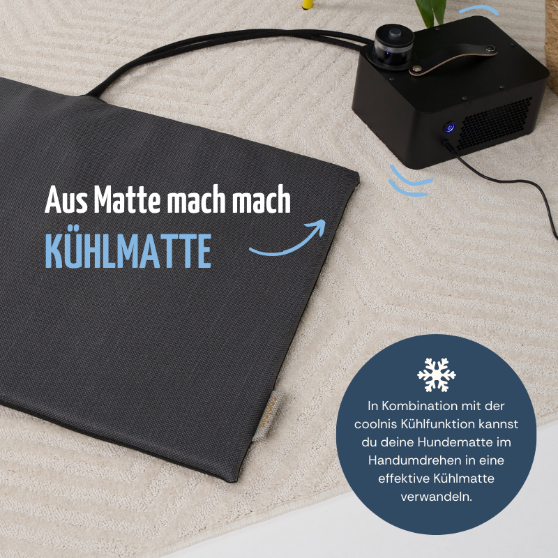 coolnis Hundematte