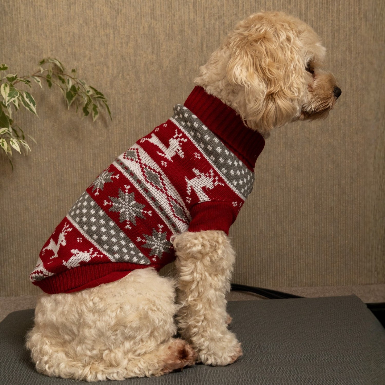 Hundepullover